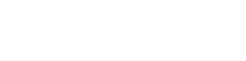 VOUX